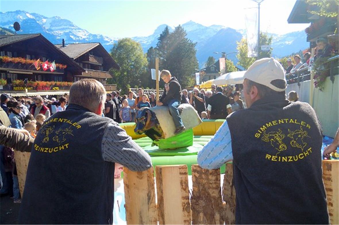 Bull Riding war eine Attraktion. Dieses «Amerikanische Züg» bestaunen sogar Simm...