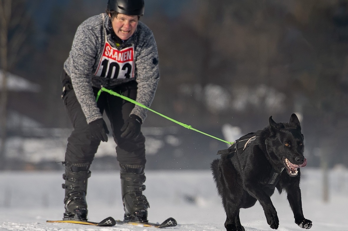 Caroline Ludi gezogen von Schäferhündin Base.