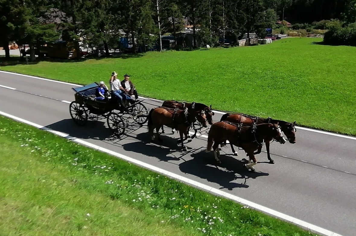 Christian und Marie Gerber im Vierspänner auf ihrem Weg nach Zweisimmen.