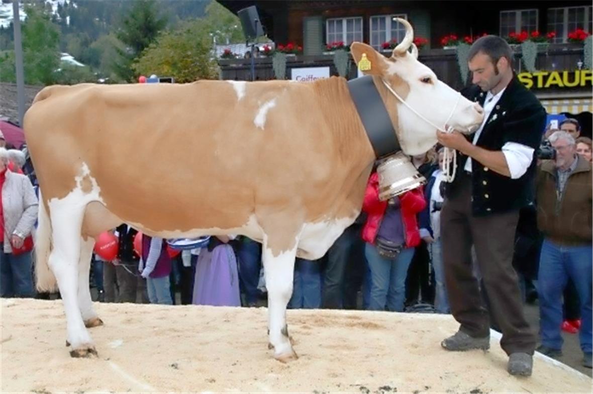 Die Miss Lenk 2013 heisst Lusti D’Miss in Pose.