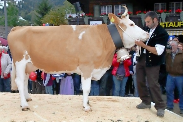 D’Miss in Pose.
