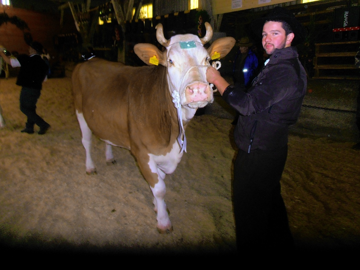 Daisy von Peter Schenk.