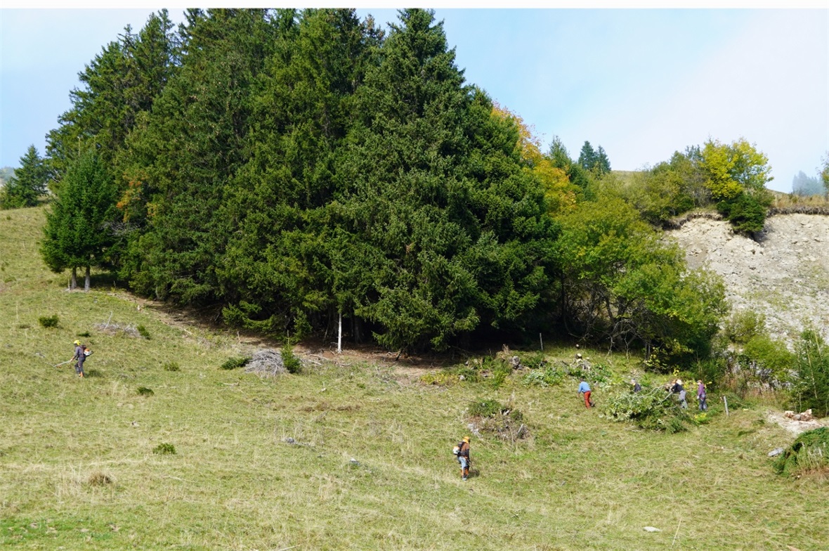 Dank vieler fleissiger Hände schritten die Räumungsarbeiten schnell voran.