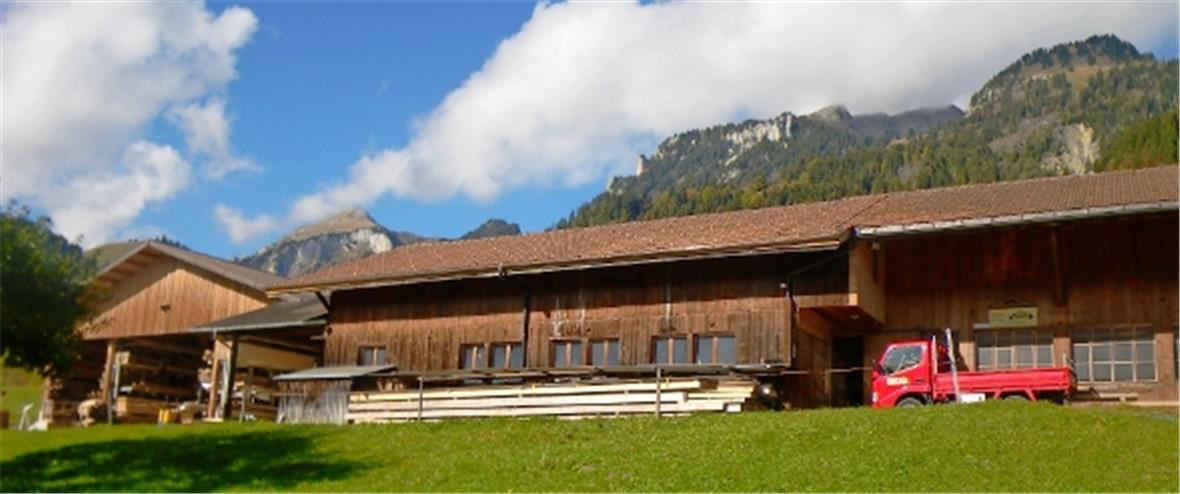 Das Betriebsgebäude der Firma Blatti Holzbau AG Oberwil. Auf dem Dach ganz links befindet sich die neue 160 Quadratmeter grosse Fotovoltaik-Anlage.