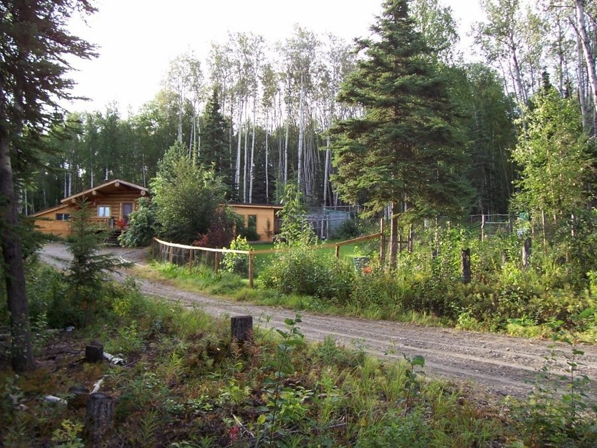 Das Blockhaus der Familie Indermühle, 10 Meilen ausserhalb Nenana.