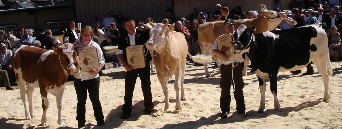 Das Ehepaar Maier-Rindlisbacher geniesst Speis und Trank in Erwartung seiner Ausstellungskuh im zweiten Rang. Im Vordergrund Jungzüchter Lukas Maurer aus Boltigen.
