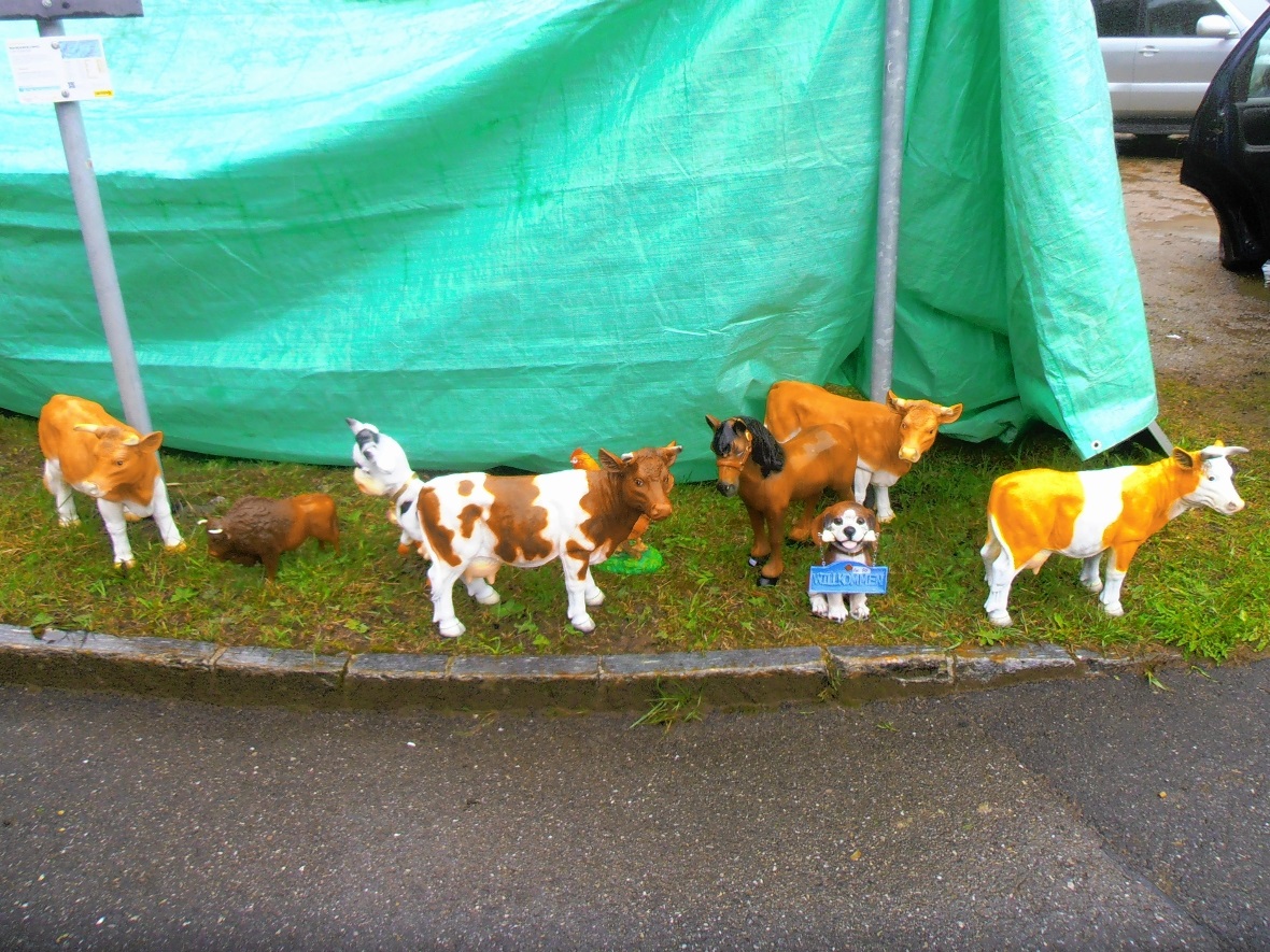 Das Empfangskomitee.