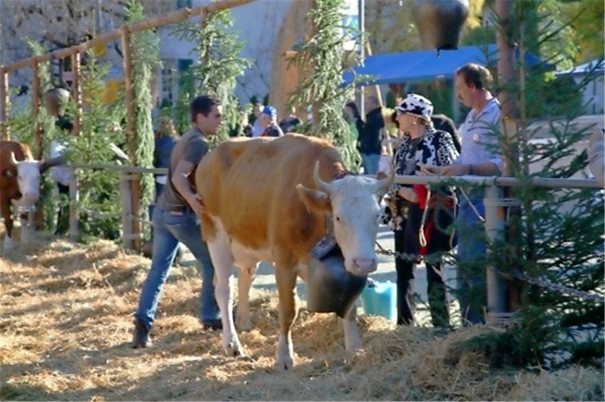 Das Fest ist vorbei es geht nach Hause