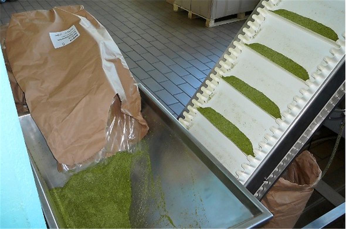 Das Förderband führt zur Abfüllmaschine.