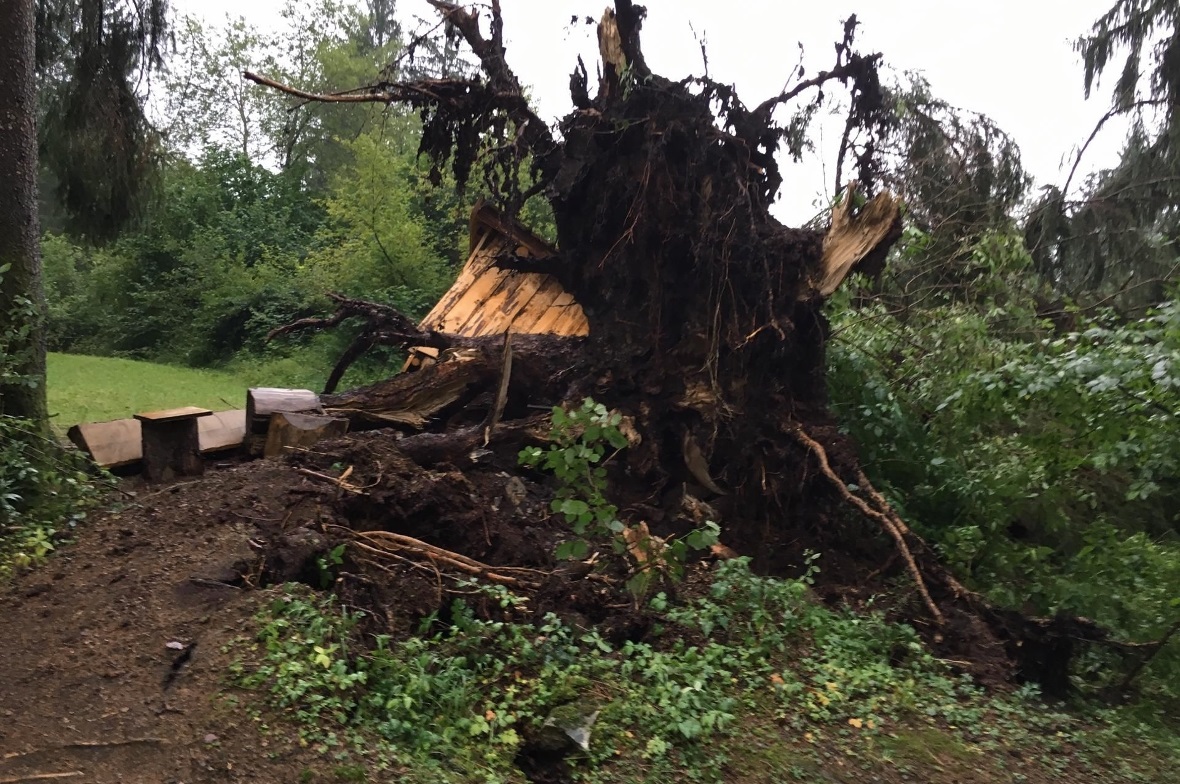Das Grill-Häuschen wurde von den massiven Tannen zertrümmert.