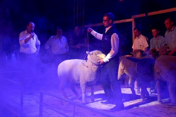 Das Highlight der Jubiläumsfeier: Züchterabend mit Rassensiegerwahl. Erst wenn sich der Nebel lichtet, erkennt das Publikum Miss und Mister Zweisimmen 2016.