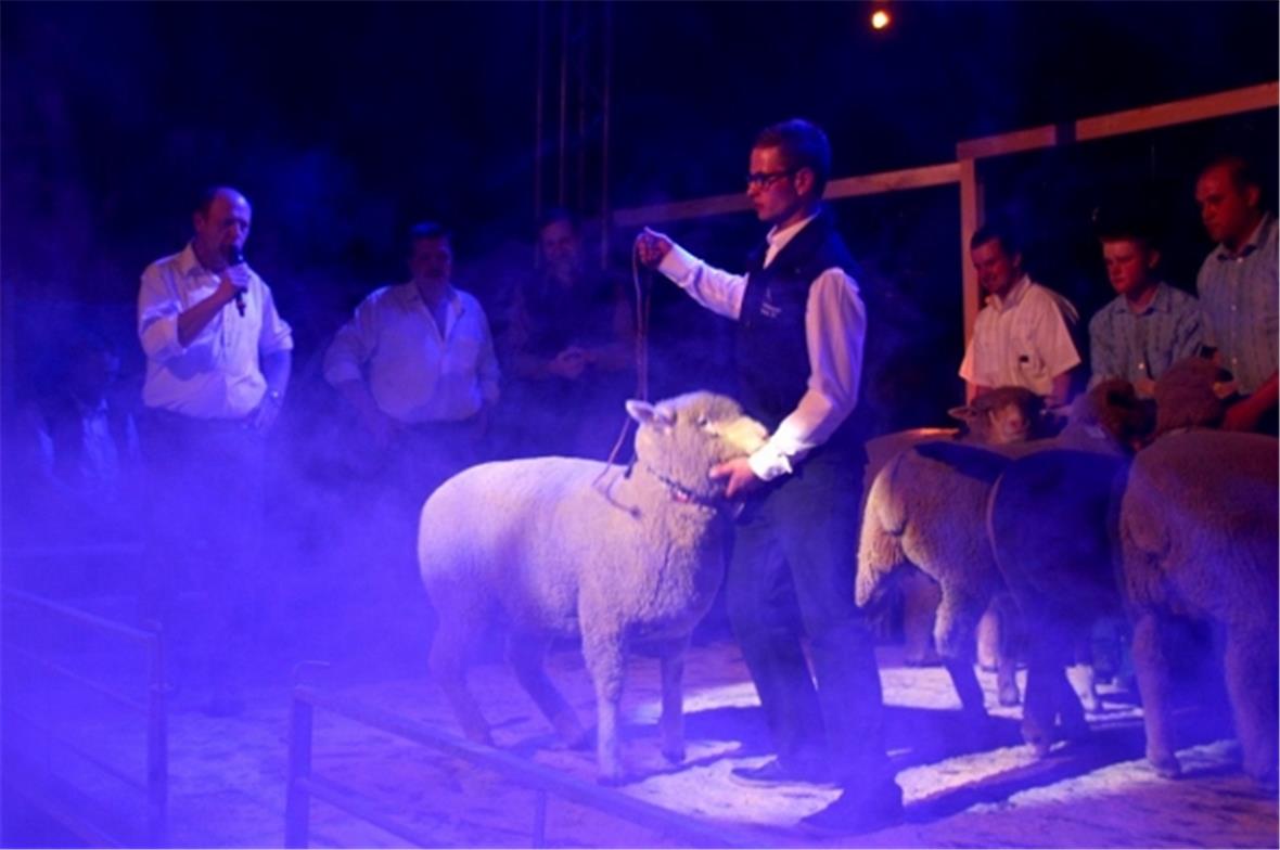 Das Highlight der Jubiläumsfeier: Züchterabend mit Rassensiegerwahl. Erst wenn s...