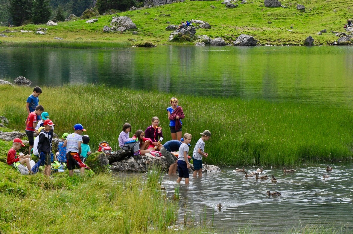Das Mittagessen kann man auch gemeinsam mit den Enten einnehmen.