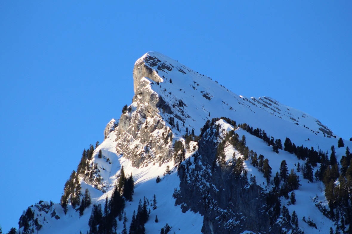Das Morgenlicht schuf beim Raufli-Retour 2019 immer wieder eine atemberaubende K...