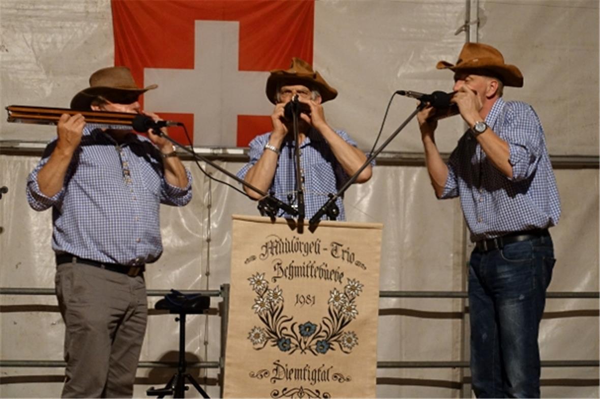 Das Mulörgeli-Trio Schmittebuebe aus dem Diemtigtal am Unterhaltungsabend.