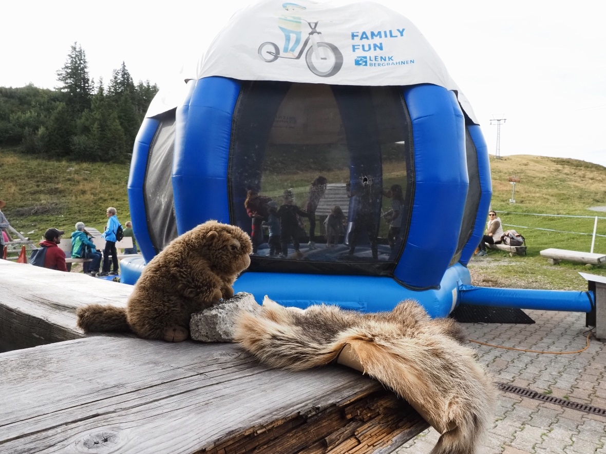 Das Murmeli lädt zum Murmelipfad ein - der Familienwanderweg von der Bergstation...