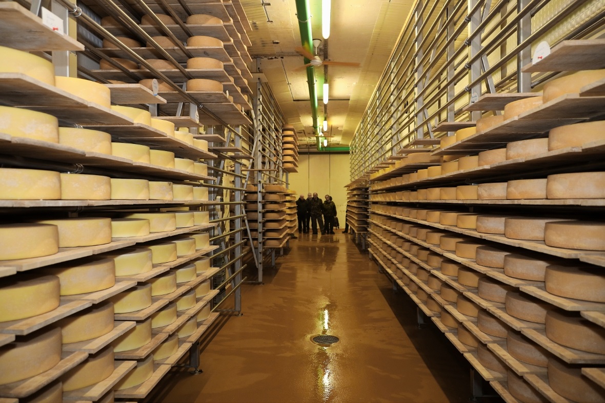 Das Simmentaler Bergkäse-Lager.