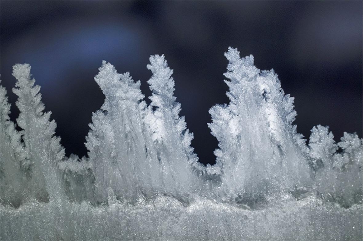 Das Sparenmoos ist das schneeblumenreichste Hochplateau der Alpen. Dank einer einfachen Zählmethode durch das Botanische Institut der Universität Bern gibt es neu Fördergelder für Schneeblumen-Artenreichtum.