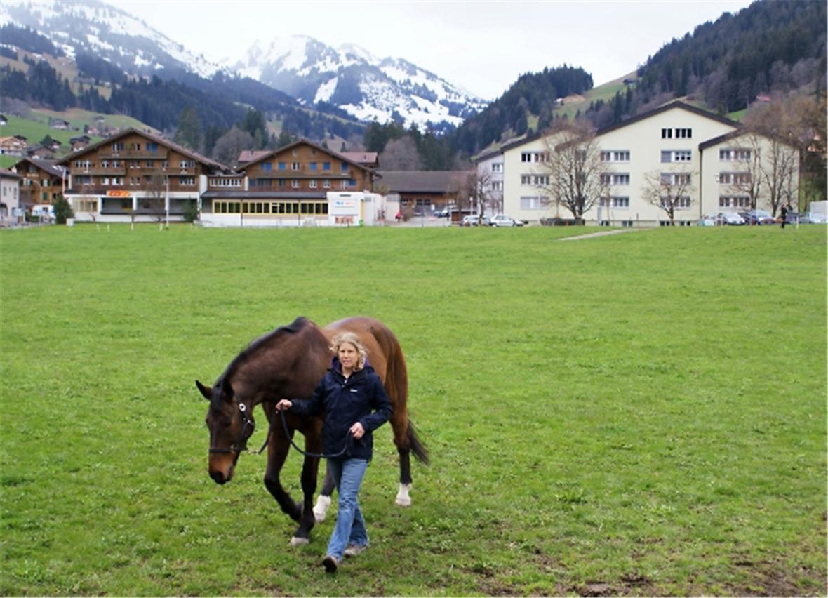 Das Spital-Grundstück soll überbaut werden können: Alterswohnen und Einkaufen (4981 m²), Wohnen aller Art (4726 m²), Spitalbedarf/Altersheim und Wohnen (6622 m²), Feuerwehrmagazin und Wohnen (1746 m²). Pächterin Nicole Wittwer Ruf wehrt sich: «Der letzte Wille der Vermächtnisgeberin hat kein Verfalldatum!»