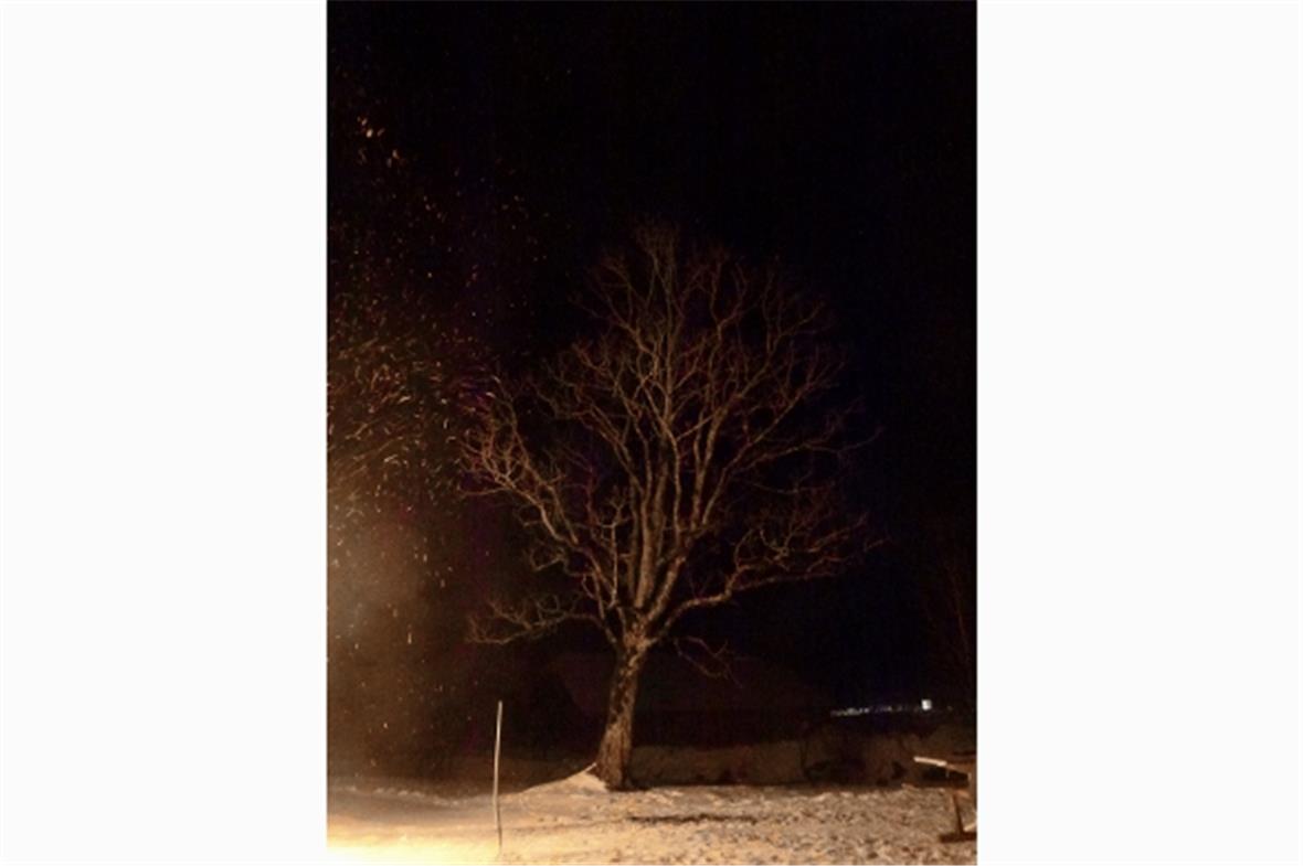 Das Winterfeuer im Diemtigtal verzaubert die Umgebung.