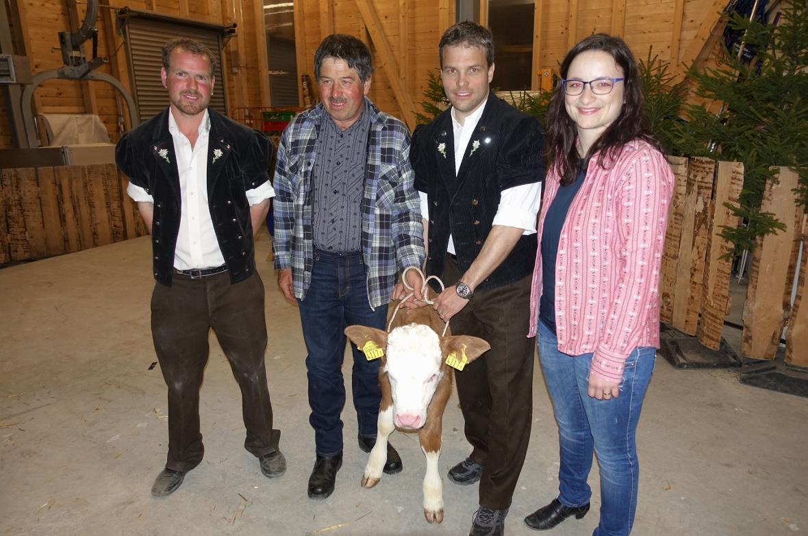 Das herzige Simmentaler Kuhkalb «Näsi» fand einen neuen Besitzer: OK-Unterhaltun...