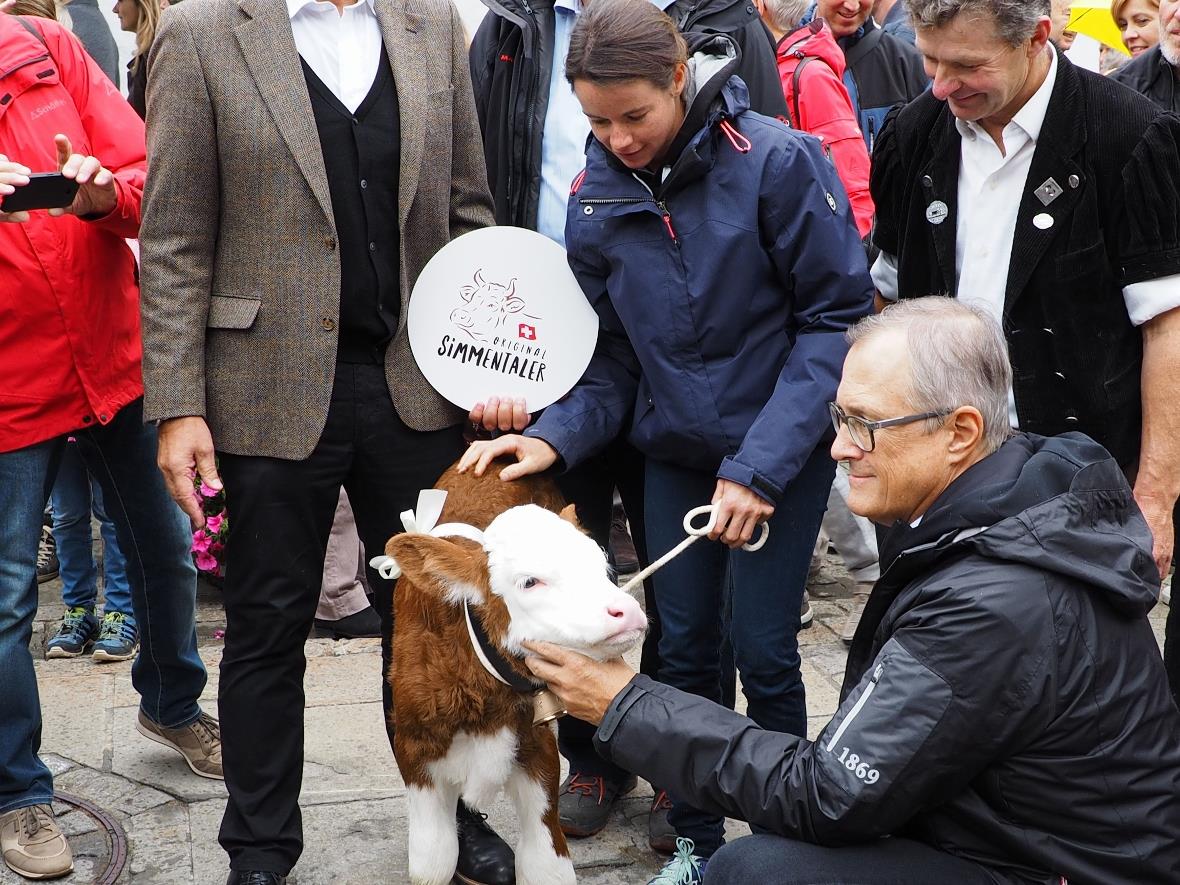 Das neun Tage alte Original Simmentaler Kalb im Mittelpunkt.