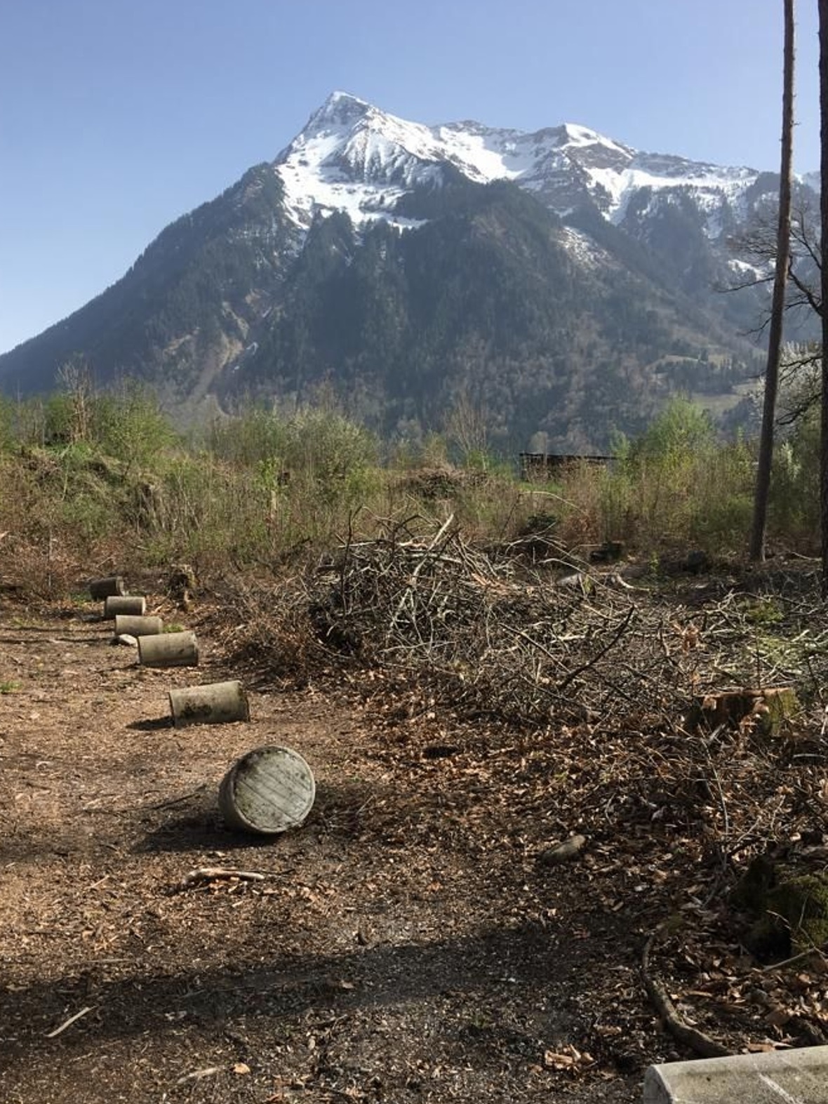 Das sieht nach Arbeit aus.