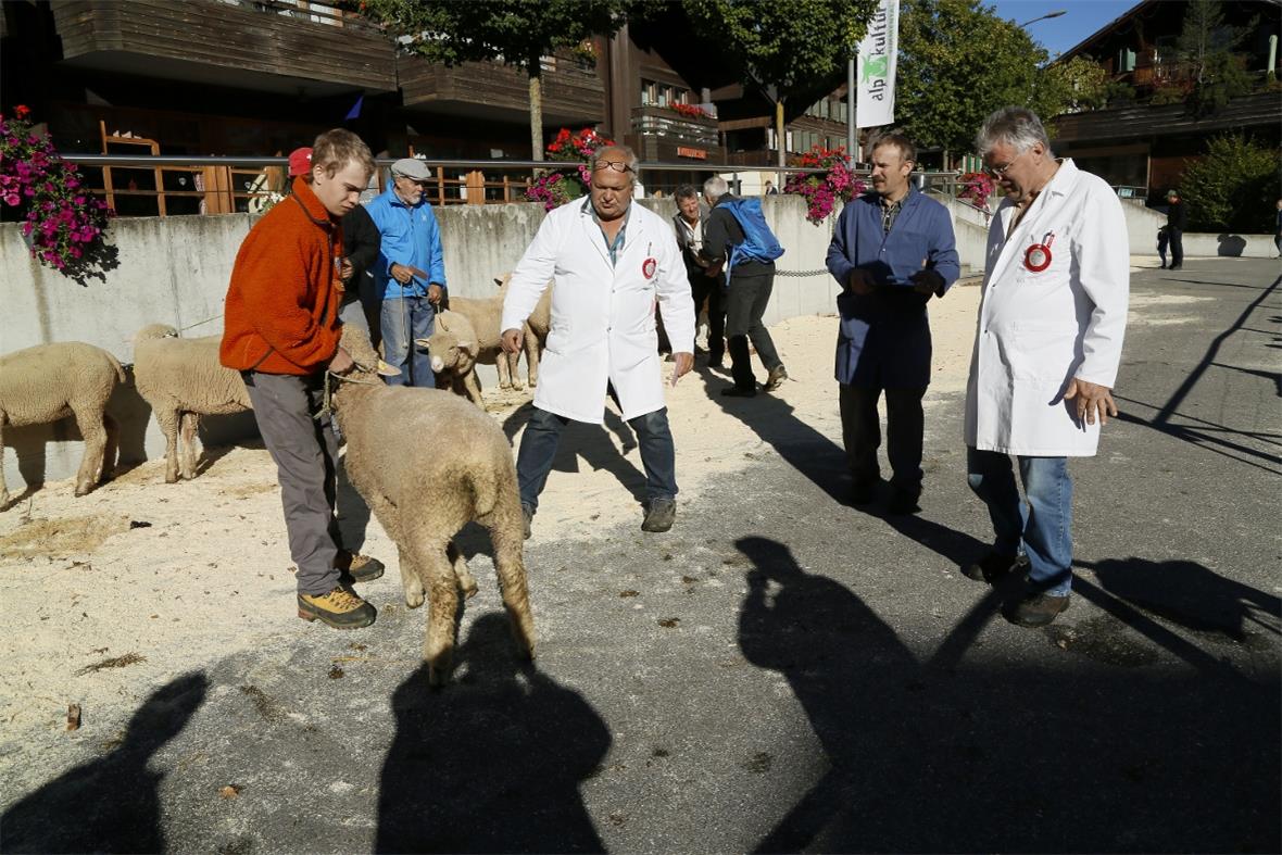 Dem scharfen Auge der Experten entgeht nichts.