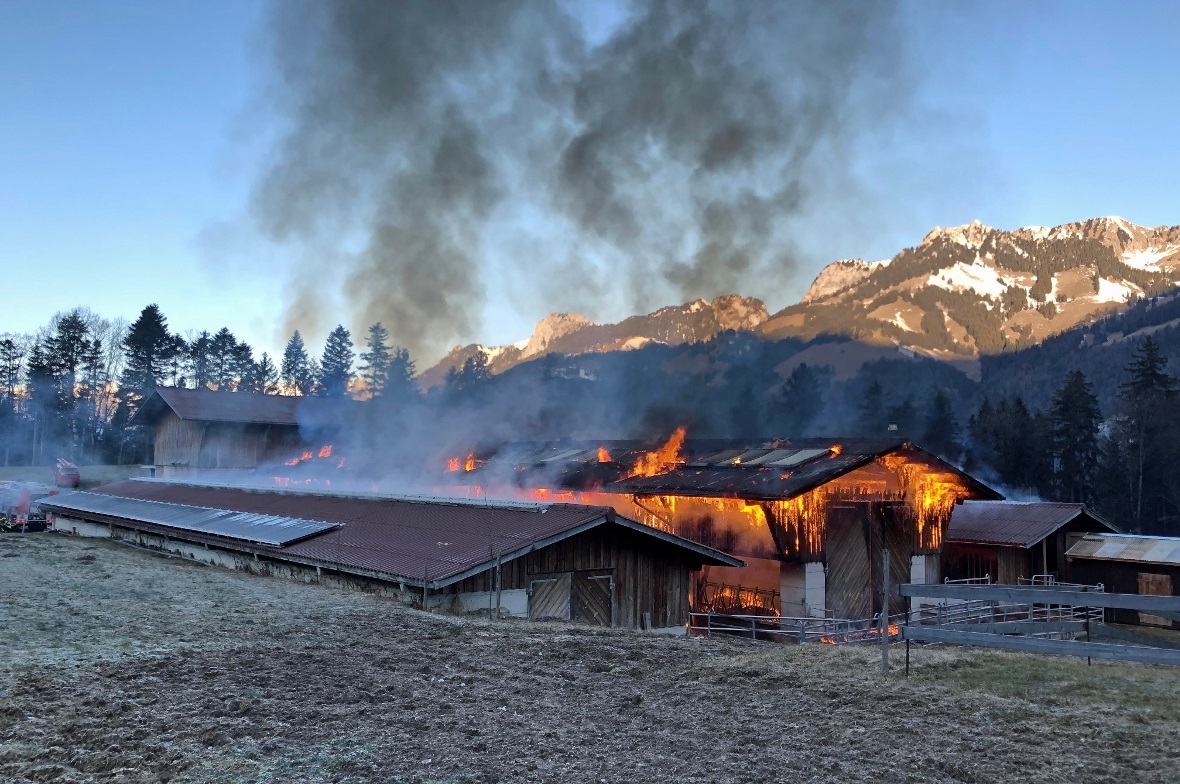Den Feuerwehren gelang es, den Scheunenbrand unter Kontrolle zu bringen und schliesslich zu löschen. Ein Übergreifen des Feuers auf die umliegenden Gebäude konnte verhindert werden.