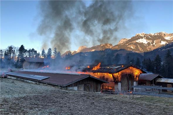 Den Feuerwehren gelang es, den Scheunenbrand unter Kontrolle zu bringen und schliesslich zu löschen. Ein Übergreifen des Feuers auf die umliegenden Gebäude konnte verhindert werden.