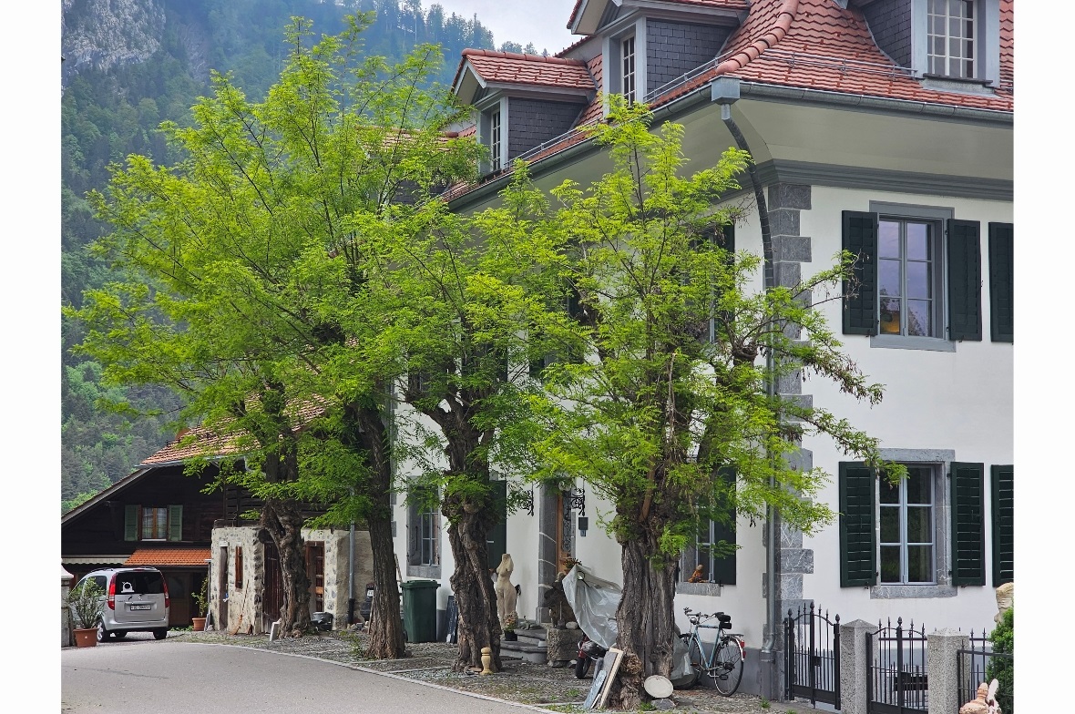 Der Besitzer des im klassizistischen Stil erbauten «Wellerauerhauses» in Wimmis,...