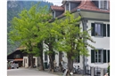 Der Besitzer des im klassizistischen Stil erbauten «Wellerauerhauses» in Wimmis,...