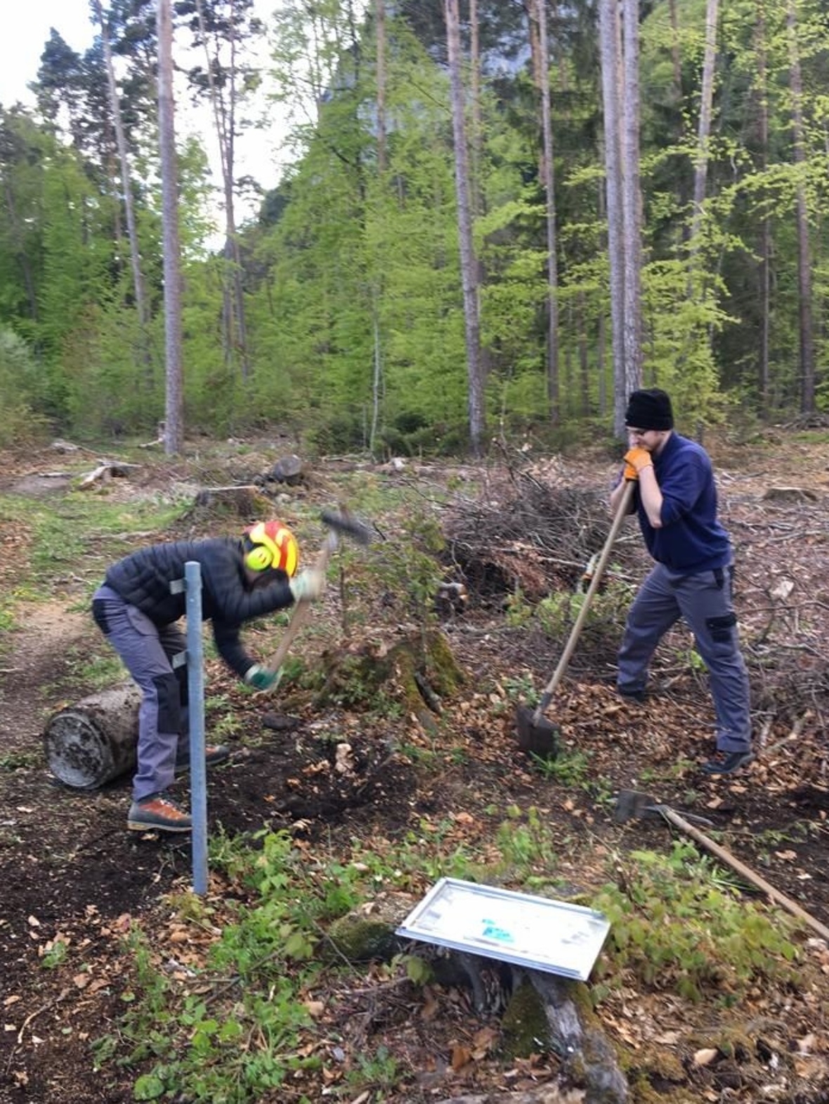Der Chef Daniel «Kampf» Meier (mit grauem Pulli) kontrolliert die Arbeit.