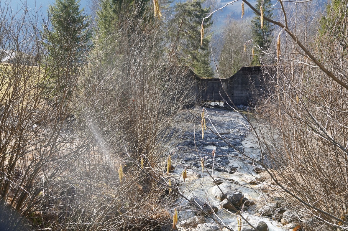 Der Geschiebesammler im Mariedbach.