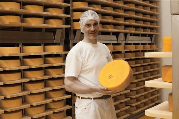 Der Halbhart-Käsekeller: Seit Anfang des Jahres werden die Halbhartkäse produziert.