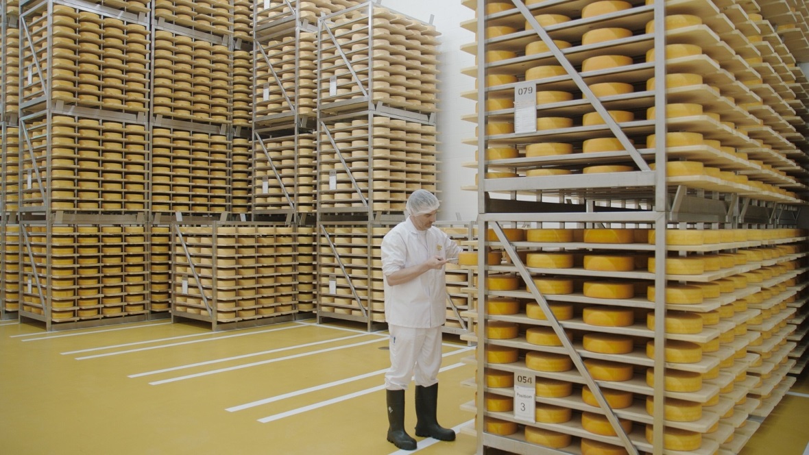 Der Halbhart-Käsekeller: Seit Anfang des Jahres werden die Halbhartkäse produzie...