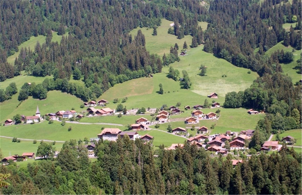 Der Hüpbach (rechts im bewaldeten Gebiet) entwässert mehr als zwei Quadrat-Kilometer Fläche unterhalb des Widdersgrinds.