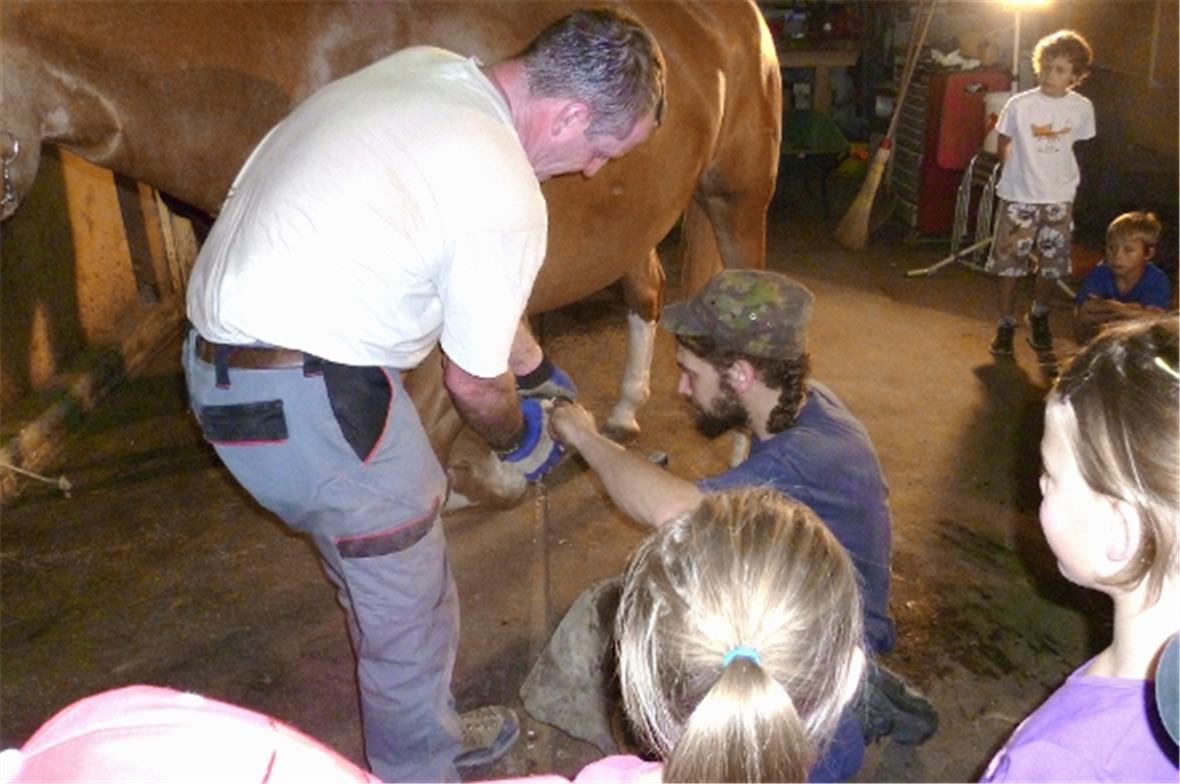 Der Hufschmied braucht einen Gehilfen beim Beschlagen.