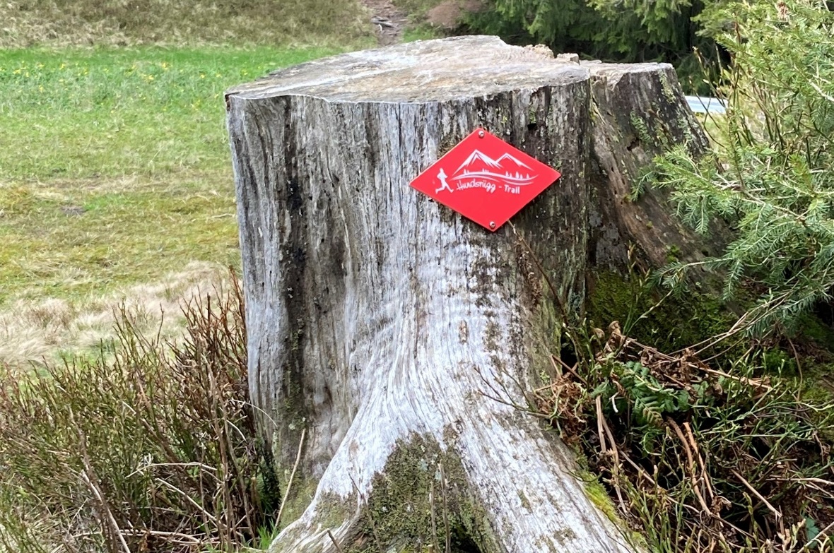 Der «Hundsrügg-Trail» ist mit roten Wegweisern beschildert und nutzt bestehende ...