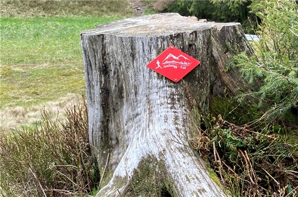 Der «Hundsrügg-Trail» ist mit roten Wegweisern beschildert und nutzt bestehende Wege.