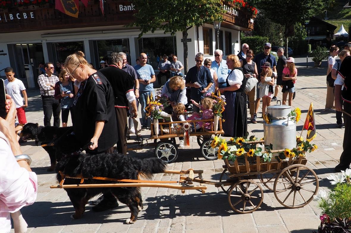 Der Jubiläumsumzug am Sonntag.