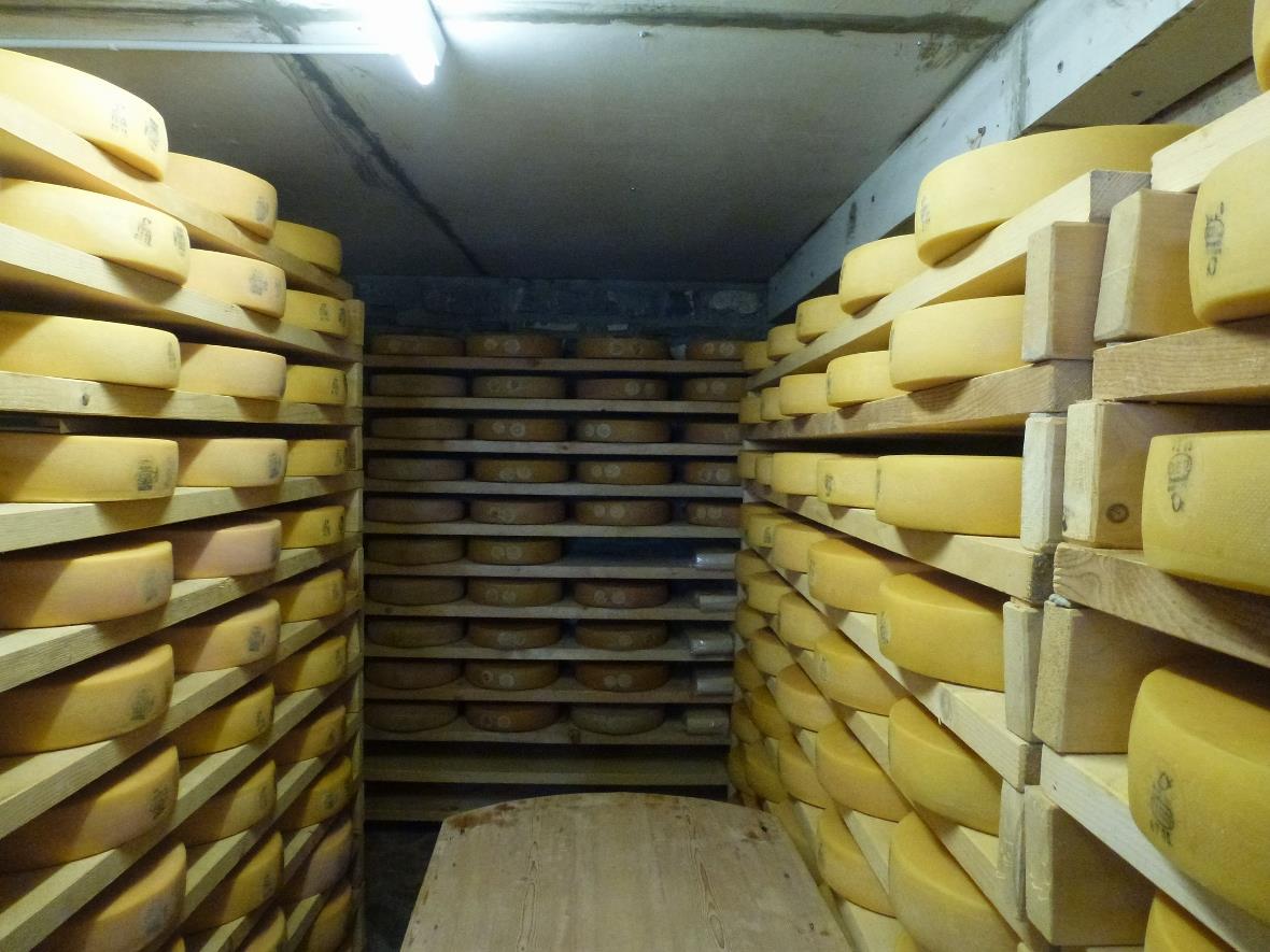 Der Käsekeller, eine Augenweide.