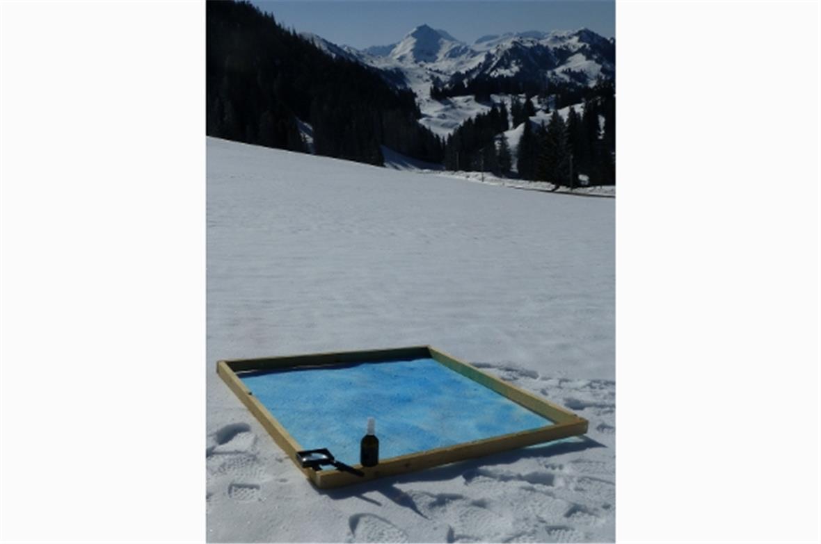 Der Kanton setzt in der Förderung der Biodiversität neue Massstäbe und entschädigt künftig neben Blumenreichtum auch Schneeblumenreichtum. Die Uni Bern hat eine einfache Messmethode im Quadratmeterfeld entwickelt. Die Botaniker freuen sich, dass sie nun auch im Winter eine sinnvolle Beschäftigung erhalten.