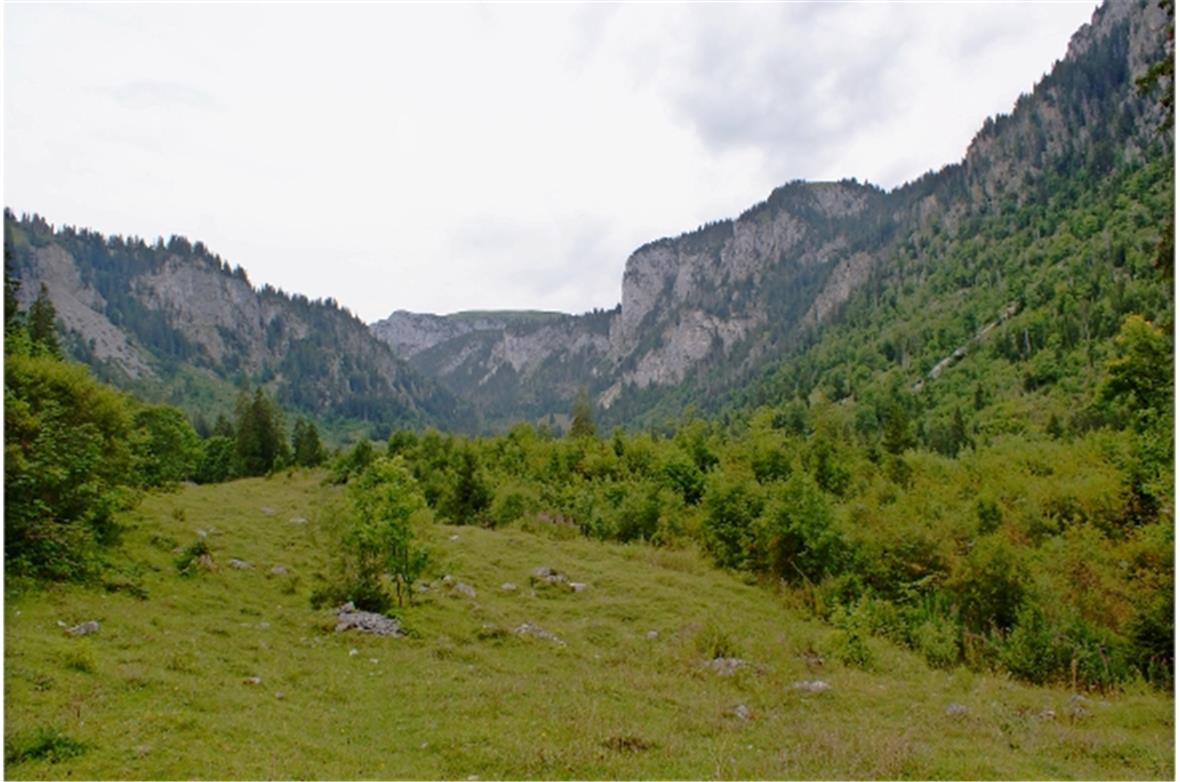 Der Meniggrund bildet das Kerngebiet des neuen Grosswaldreservats im Diemtigtal.