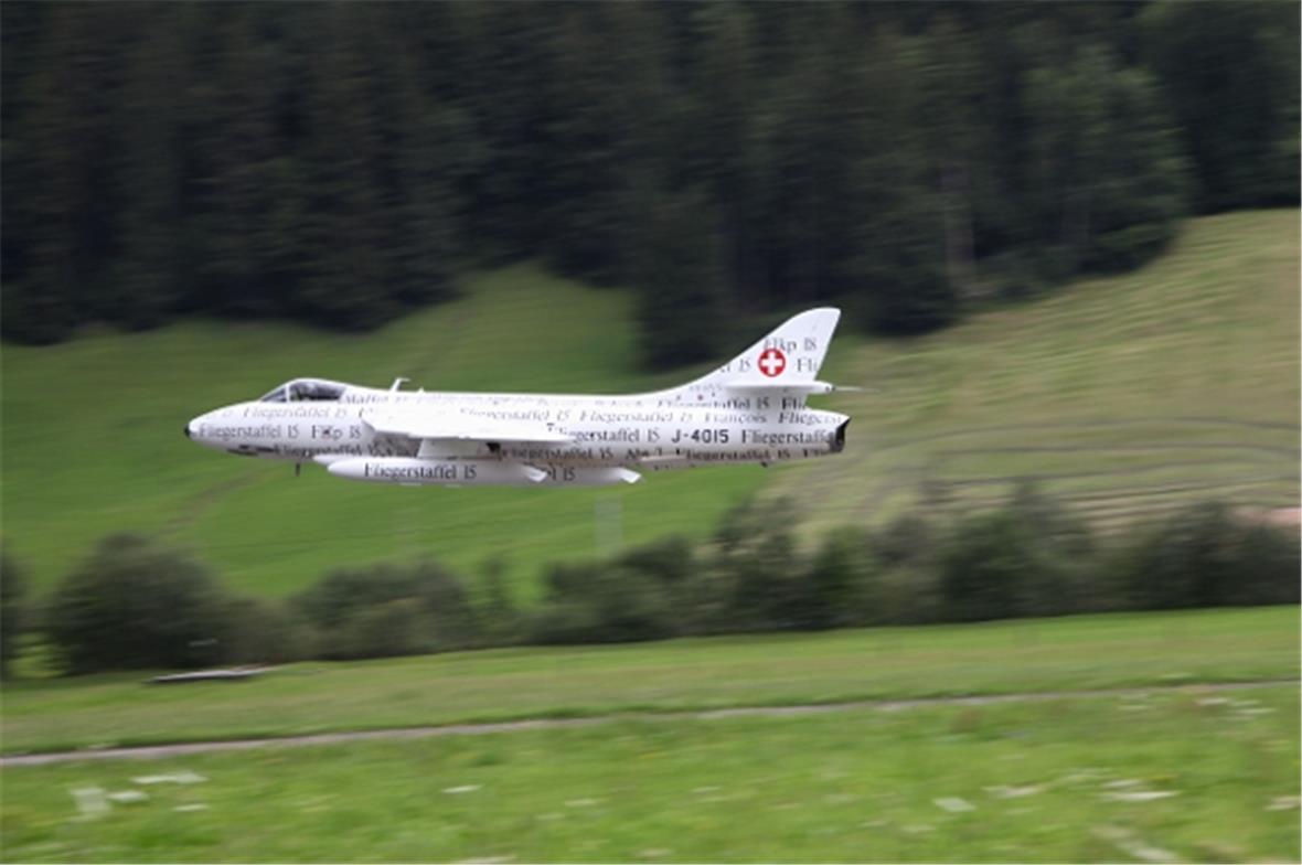 Der Papyrus bodennah beim Vorbeiflug