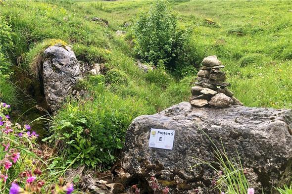 Der Quiz-Trail ist für Familien und führt um den Hinterstockensee. Die Täfelchen wurden durch die Freunde des Stockhorns angebracht.