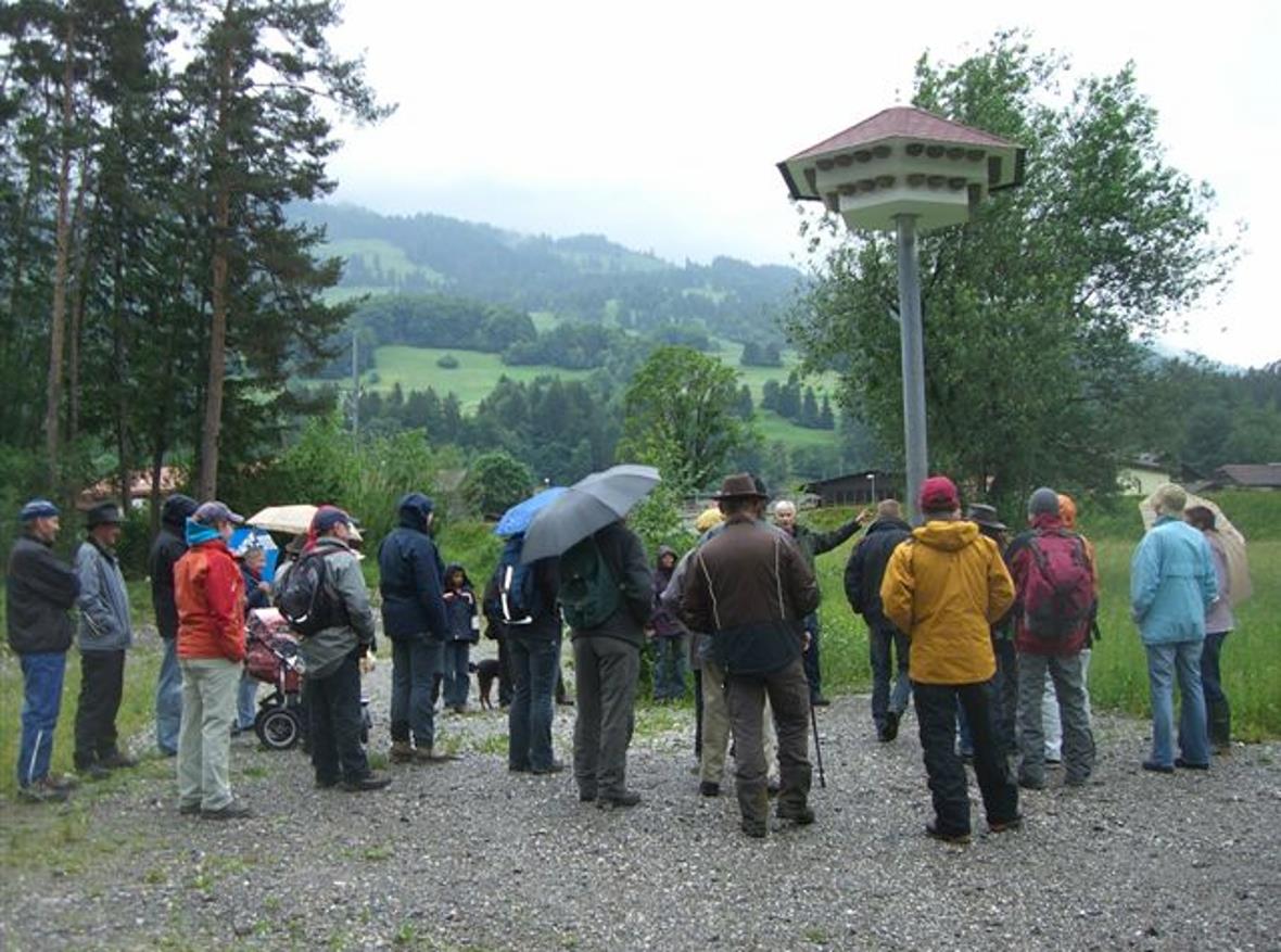 Der Schwalbenturm wird begutachtet.