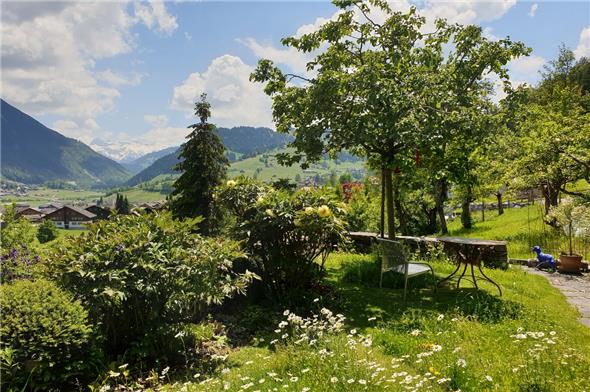 Der Sitzplatz inmitten der blühenden Margeritenwiese im Garten von Regula und Thomas Näf in Zweisimmen.