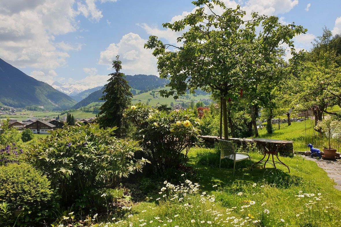 Der Sitzplatz inmitten der blühenden Margeritenwiese im Garten von Regula und Th...
