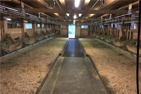 Der Stall auf der Alp Gandlauenen entspricht den gesetzlich vorgeschriebenen Mindestanforderungen des Tierschutzgesetzes um wenige Zentimer nicht mehr.